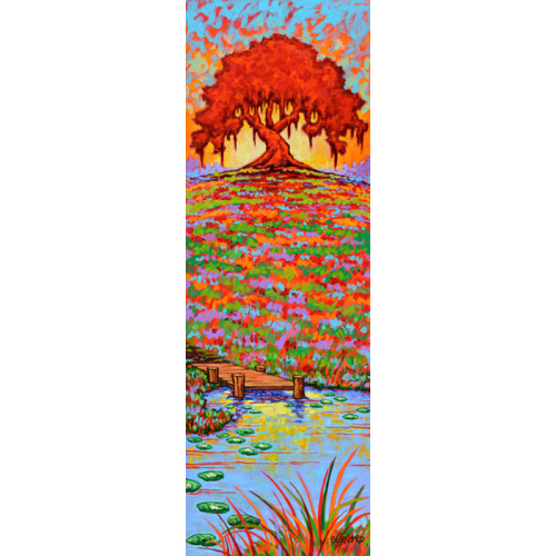 A Louisiana Daydream